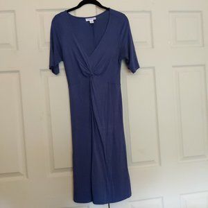 Blue Maternity Dress